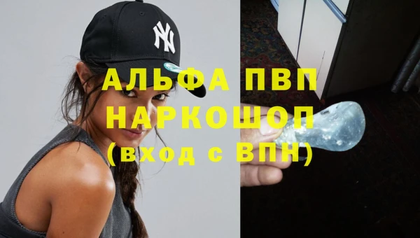 стафф Богородск