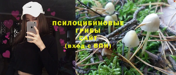 ПСИЛОЦИБИНОВЫЕ ГРИБЫ Богородицк