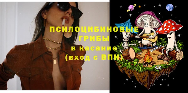 стафф Богородск