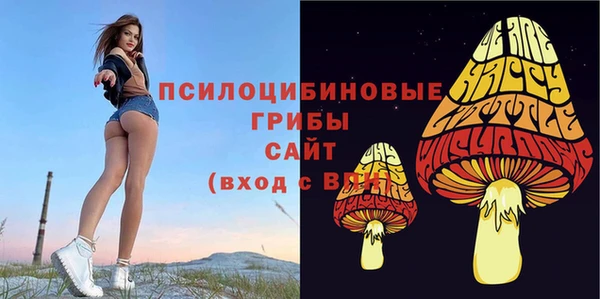ПСИЛОЦИБИНОВЫЕ ГРИБЫ Богородицк