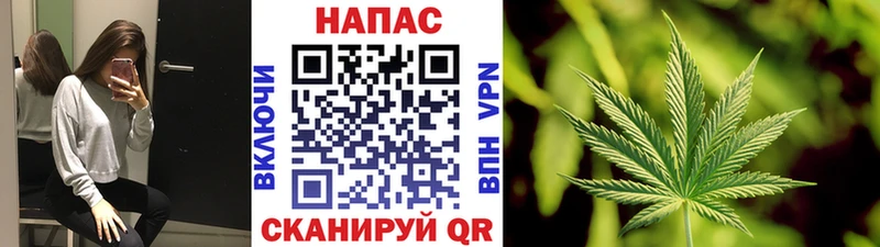 Бошки марихуана индика  Кочубеевское 